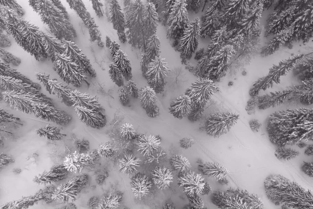 Chic & Champetre Au Coeur Du Haut-Jura Ламура Экстерьер фото