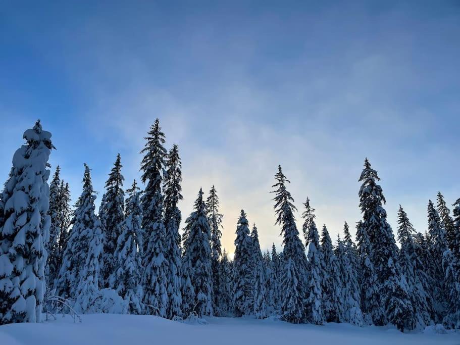 Chic & Champetre Au Coeur Du Haut-Jura Ламура Экстерьер фото